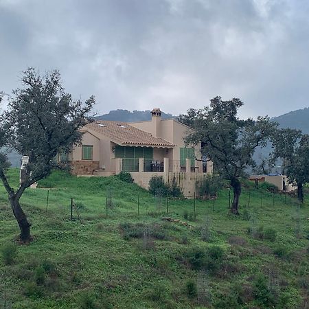 Alojamiento Rural En Aracena. Finca El Rehilete Luaran gambar